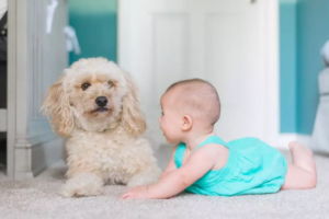 备孕三年仍然没有进展?这三个关键因素可能在“影响”你