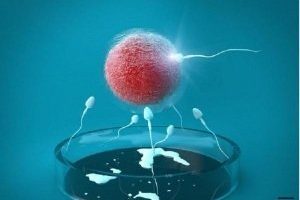 备孕一个月没有结果?别着急!做好这三件事,可以提高你怀孕的机