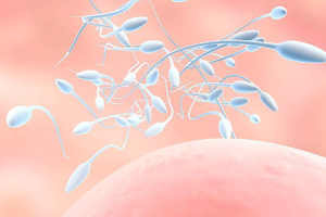 备孕一年半仍未怀孕?别着急,这三项关键检查可以帮助你找出原因