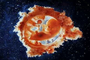 34岁备孕半年没有进展?做好以下四件事,能帮助你提高怀孕的机