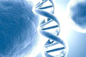 试管婴儿对不孕夫妇有用吗?