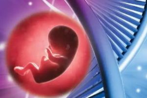 不孕症:应进行哪些检查?能否选择试管婴儿?