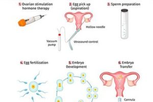 如果遇到无法怀孕的情况该如何处理?可以直接选择进行试管婴儿吗