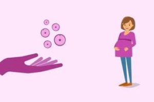 体外受精胚胎移植(试管婴儿)中的“先降调后促排卵”方案解析