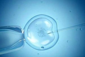 试管婴儿促排卵:并没有“绝对多卵”的方法,找到适合自己的才是