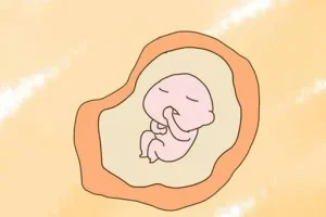 试管婴儿促排卵方案:如何确定最佳时机?