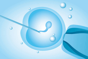 为什么建议夫妻一起同行?