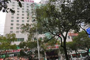 为什么在进行试管婴儿之前需要检测甲状腺功能?