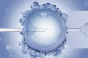 进行三代试管婴儿前需要进行哪些检查?这些信息你一定要了解!