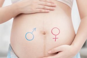 在进行试管婴儿前,是否需要检查精子质量呢?答案在这里!