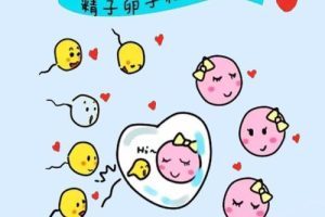 什么时候进行试管婴儿检查最为合适?