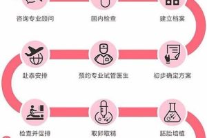 试管婴儿术前检查及适应症:一份简单明了的科普指南