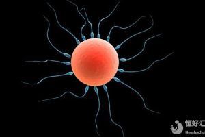 试管婴儿之前,夫妻双方进行检查有什么意义呢?