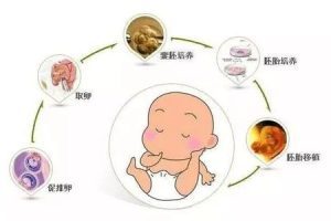 试管婴儿前需要进行哪些检查?男女双方都不能忽视!