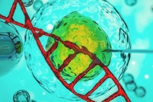 试管婴儿前进行的超声检查:检查哪些内容?其重要性为何?