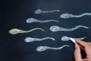 试管婴儿的前期检查需要多长时间?关键因素一文详解