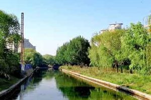 试管婴儿之前一定要检查输卵管吗?