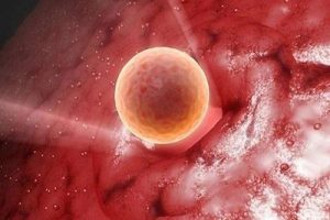 做试管婴儿可以不进行输卵管检查吗?