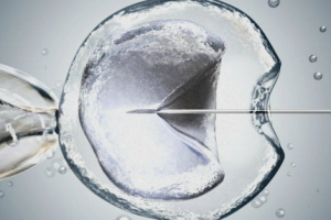 试管婴儿成功怀孕后,孕期检查需注意哪些事项?