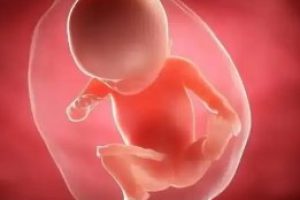 试管婴儿前,女性需要进行的四项重要检查