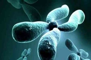 试管婴儿术前的检查仅有四项吗?