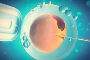 试管婴儿的整个过程以及成功怀孕后需要注意的事项