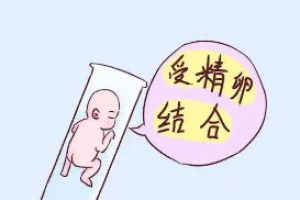 试管婴儿完整流程:从检查到怀孕,一篇文章详尽说明