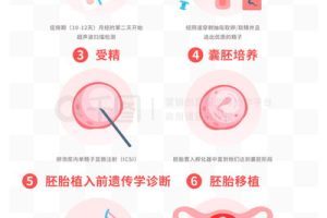 第三代试管婴儿周期所需时间是多少?完整流程介绍