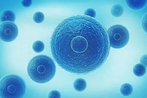 第三代试管婴儿流程详解