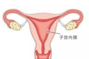 第三代试管婴儿(PGT技术)流程详解:从检查到怀孕的明确步骤