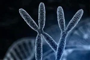 试管婴儿:适用人群与整个流程详解 | 哪些人适合进行?流程是