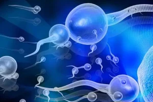 试管婴儿二胎冻胚解冻流程详细说明