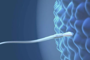 俄罗斯第三代试管婴儿:流程解析与适应人群指南