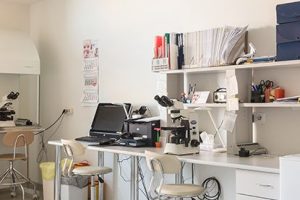 体外受精与胚胎移植(IVF