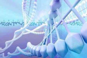 泰国试管婴儿周期时长及全流程指南