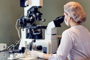 别纠结amh检测时间！做好这3点结果照样靠谱