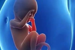 拿到7-细胞iii级胚胎，还能移植吗？看完这篇不纠结