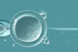 试管婴儿降调节：你需要知道的14天评估与应对指南